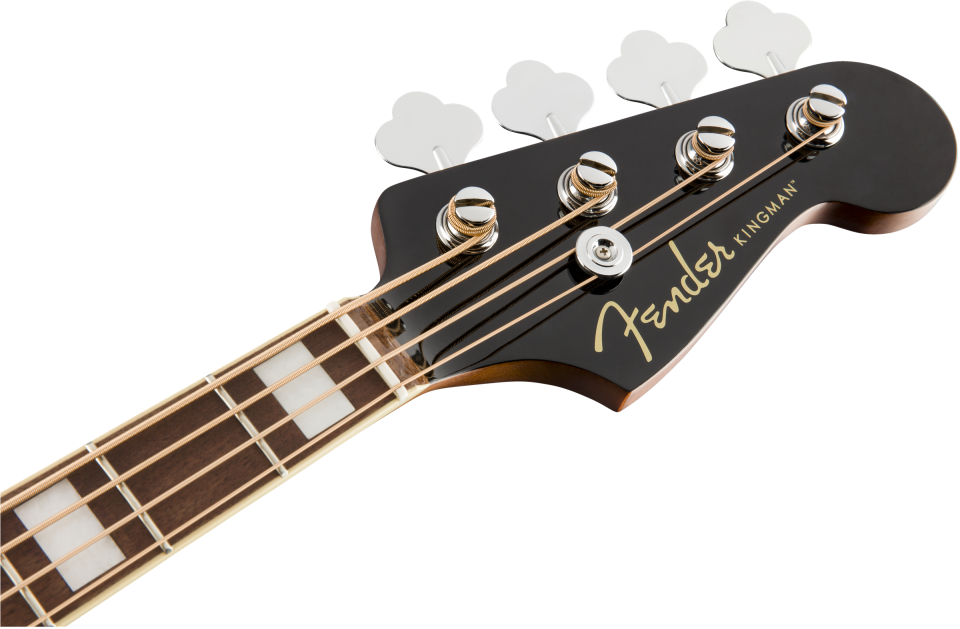helemaal Eigenlijk inschakelen Fender Kingman | Akoestische Basgitaar kopen? | Leo Music & Audio