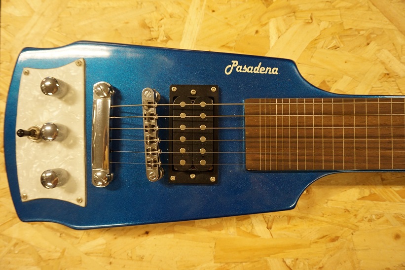 Afleiden thuis Mechanisch Pasadena Lapsteel gitaar kopen? | Leo Music & Audio