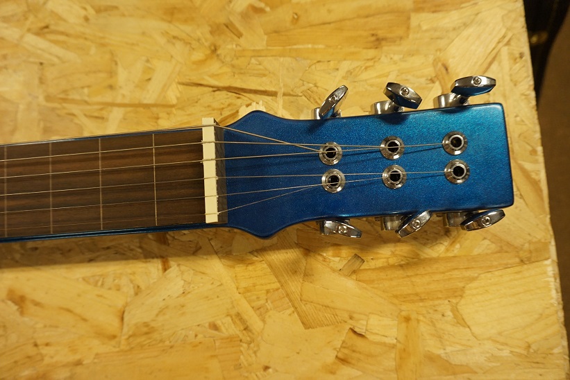 bureau Kijkgat krans Pasadena Lapsteel gitaar kopen? | Leo Music & Audio